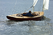 Focus 800